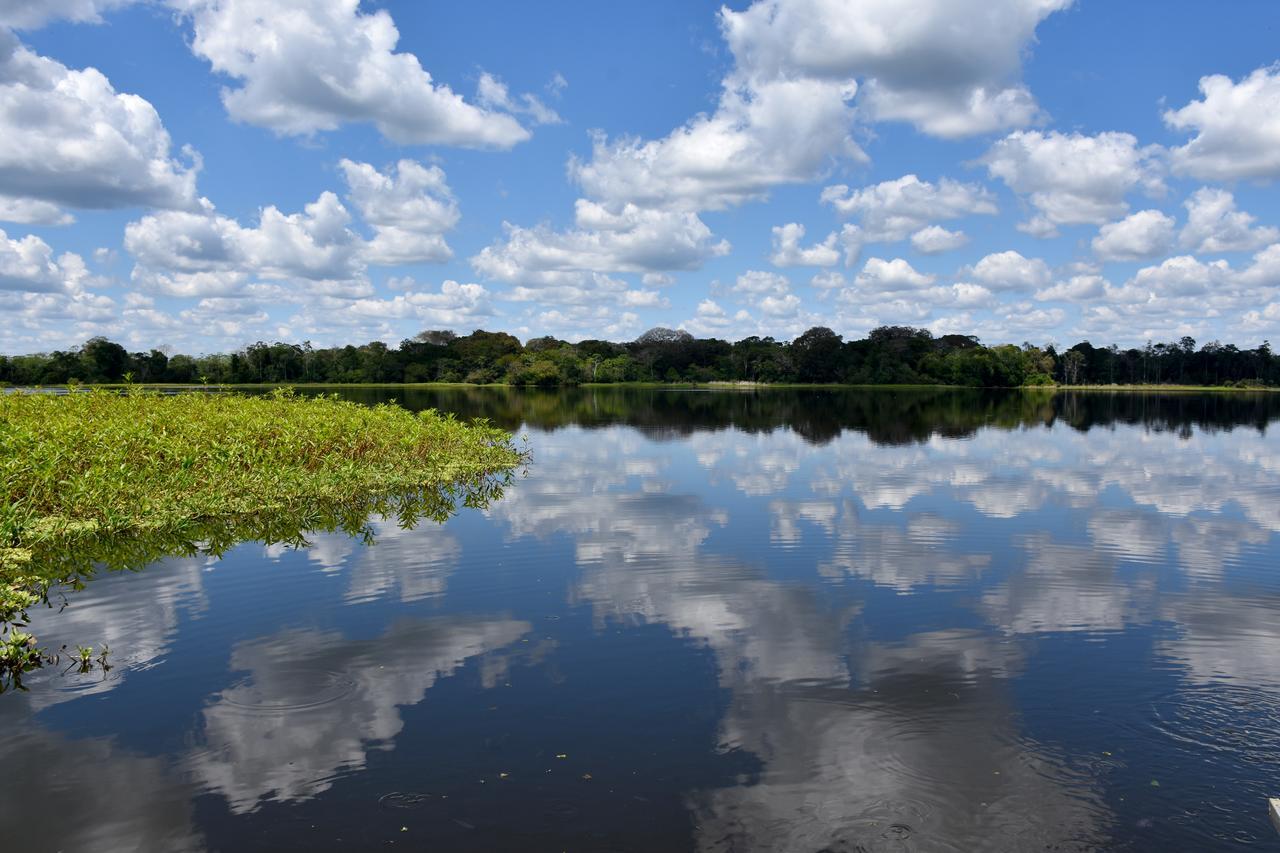Yaku Amazon Lodge & Expeditions Paraíso Екстериор снимка